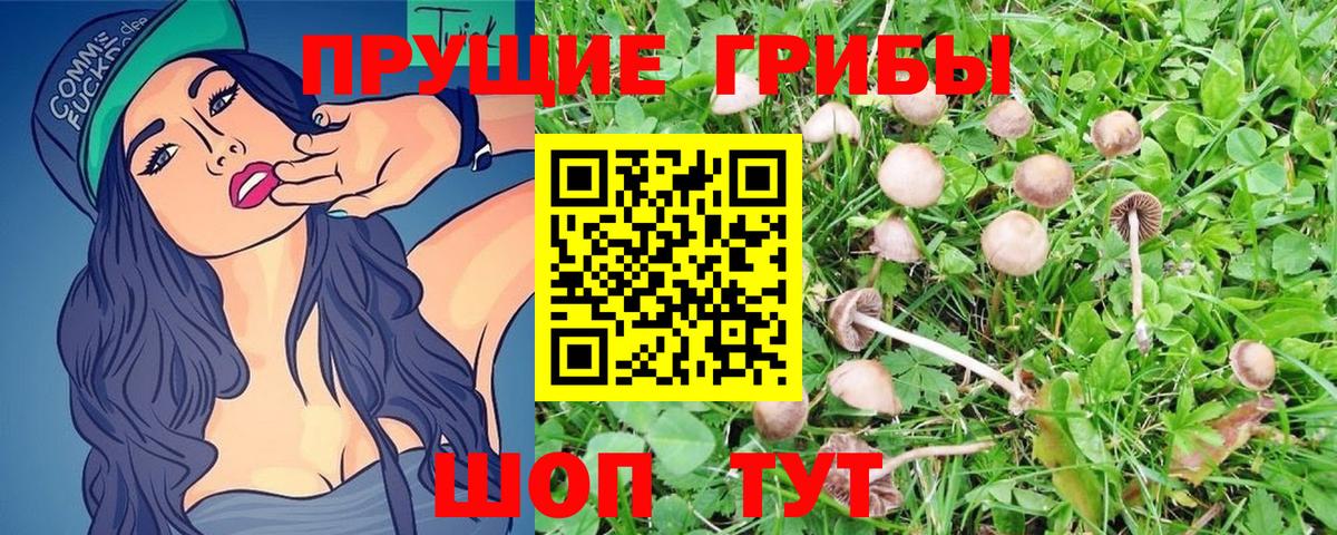 Псилоцибиновые грибы мухоморы Кохма