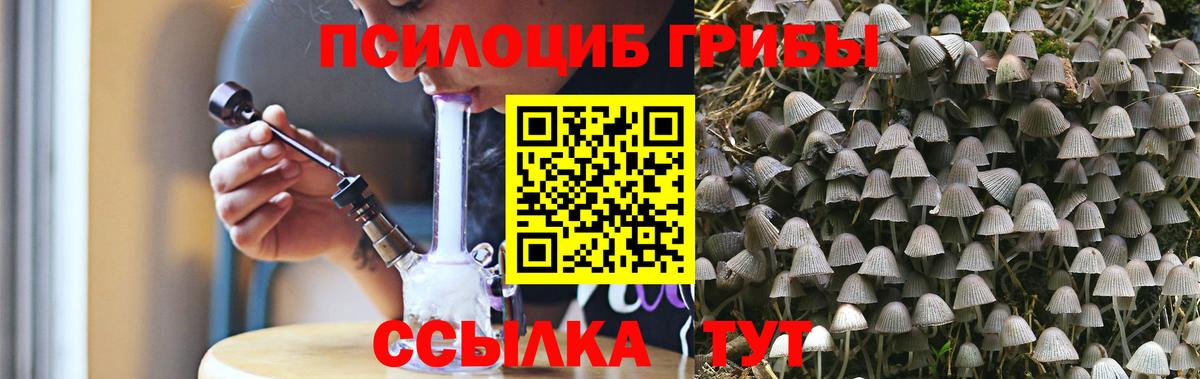 Галлюциногенные грибы прущие грибы  Псилоцибиновые грибы Magic Shrooms  Кохма  Вход с VPN 